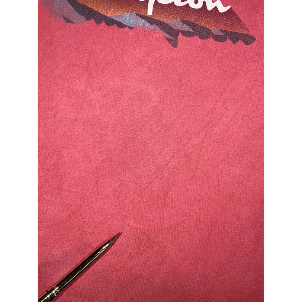 Champion Graphic T-Shirt M Red Mountain Logo Retro Faded Street Outdoor Gorpcore - Picture 4 of 12